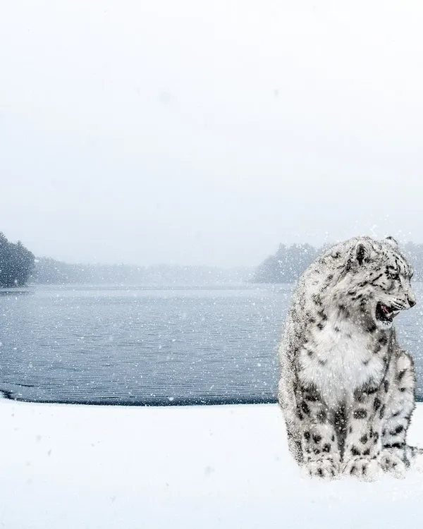 leopard-blanc-pole-dancing