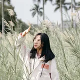 lingette-demaquillante-bio