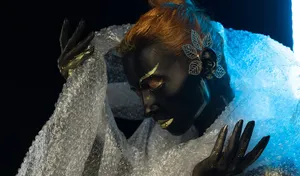 painture-french-bodypainting-festival