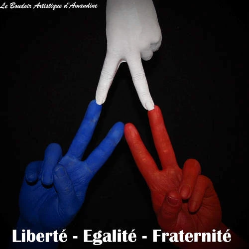 Artiste : Amandine Pulka